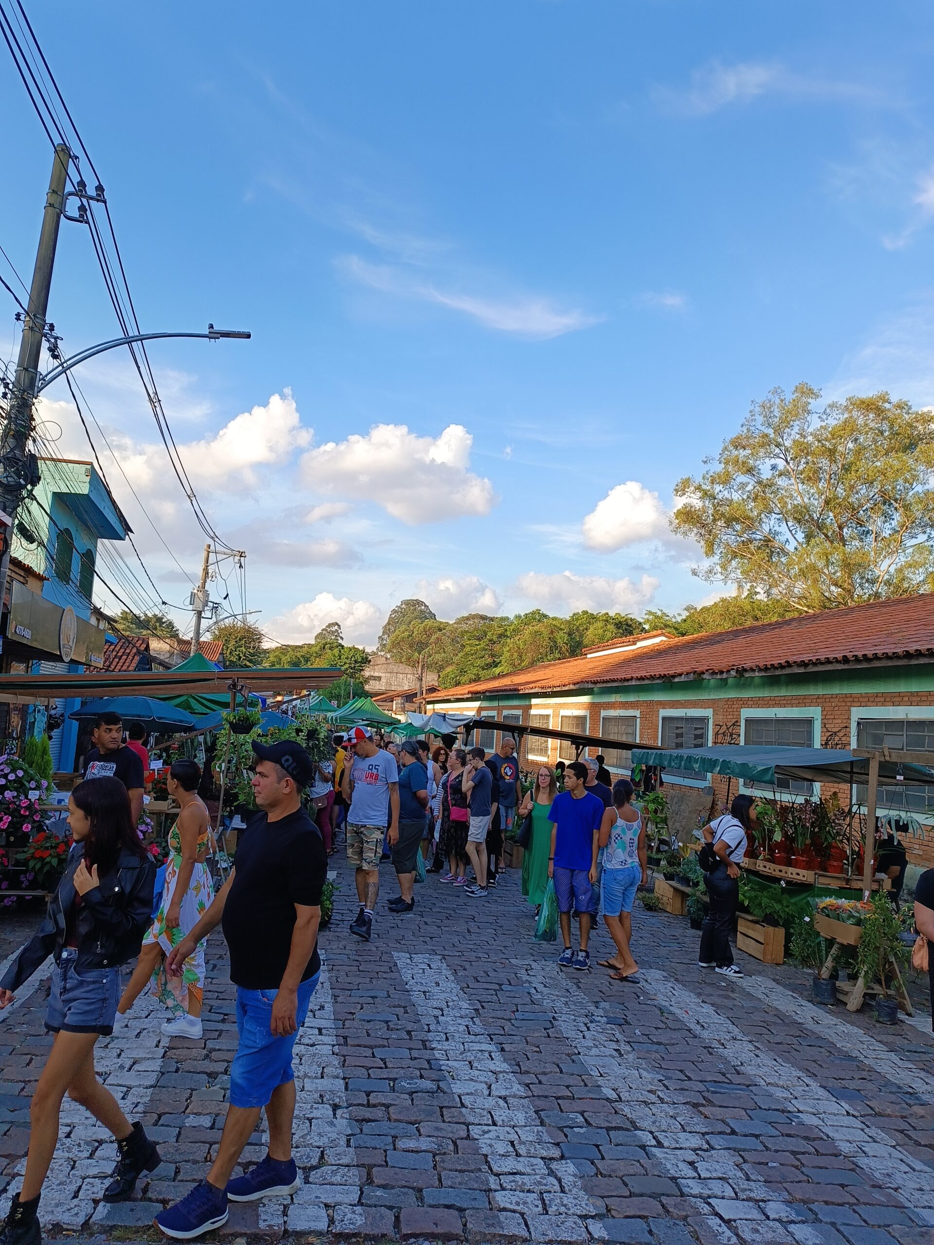 A rua da Feira do verde sempre desperta o interesse do visitante.