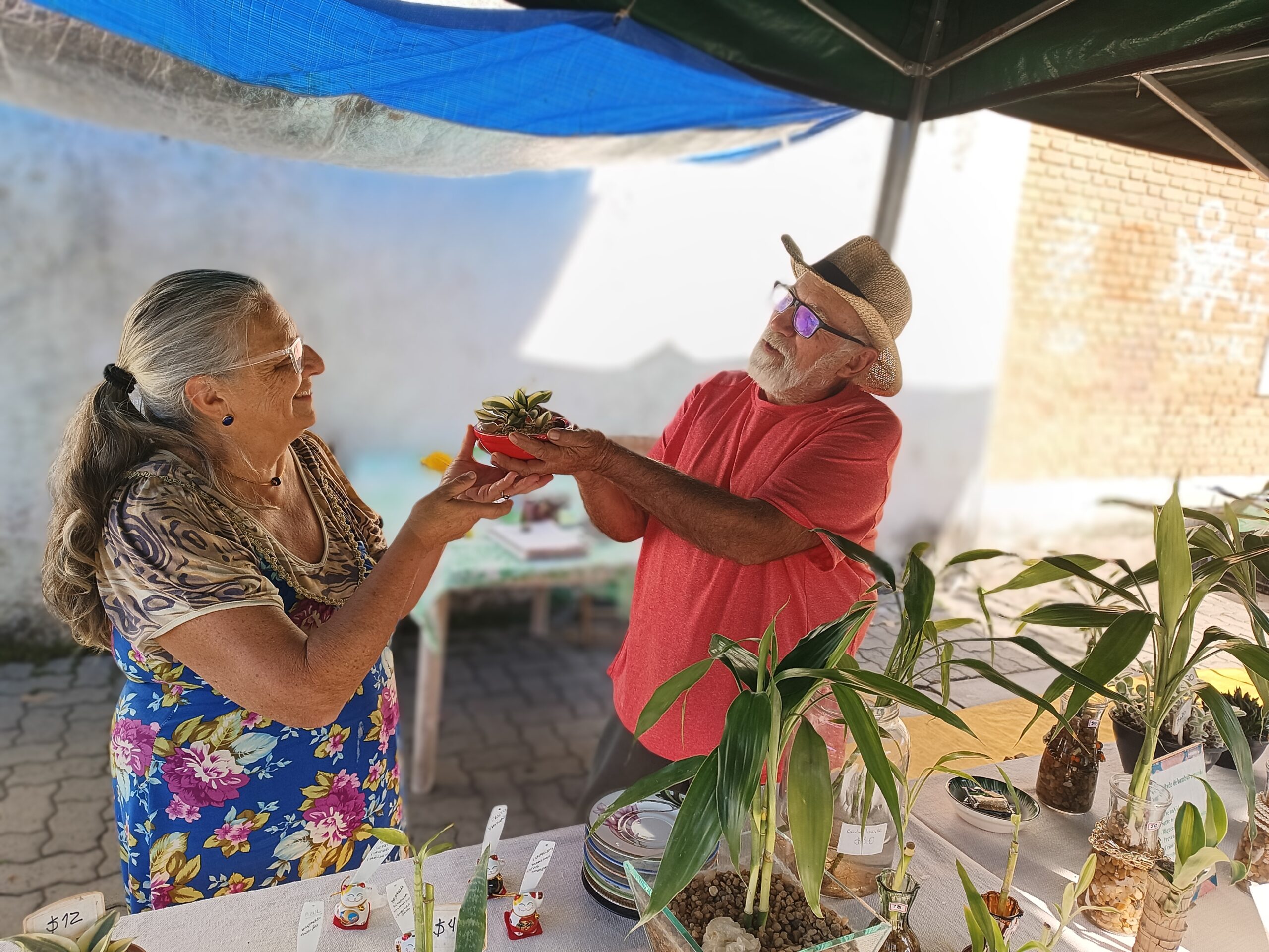 Dora e Carlinhos na tenda de plantas da Feira do verde