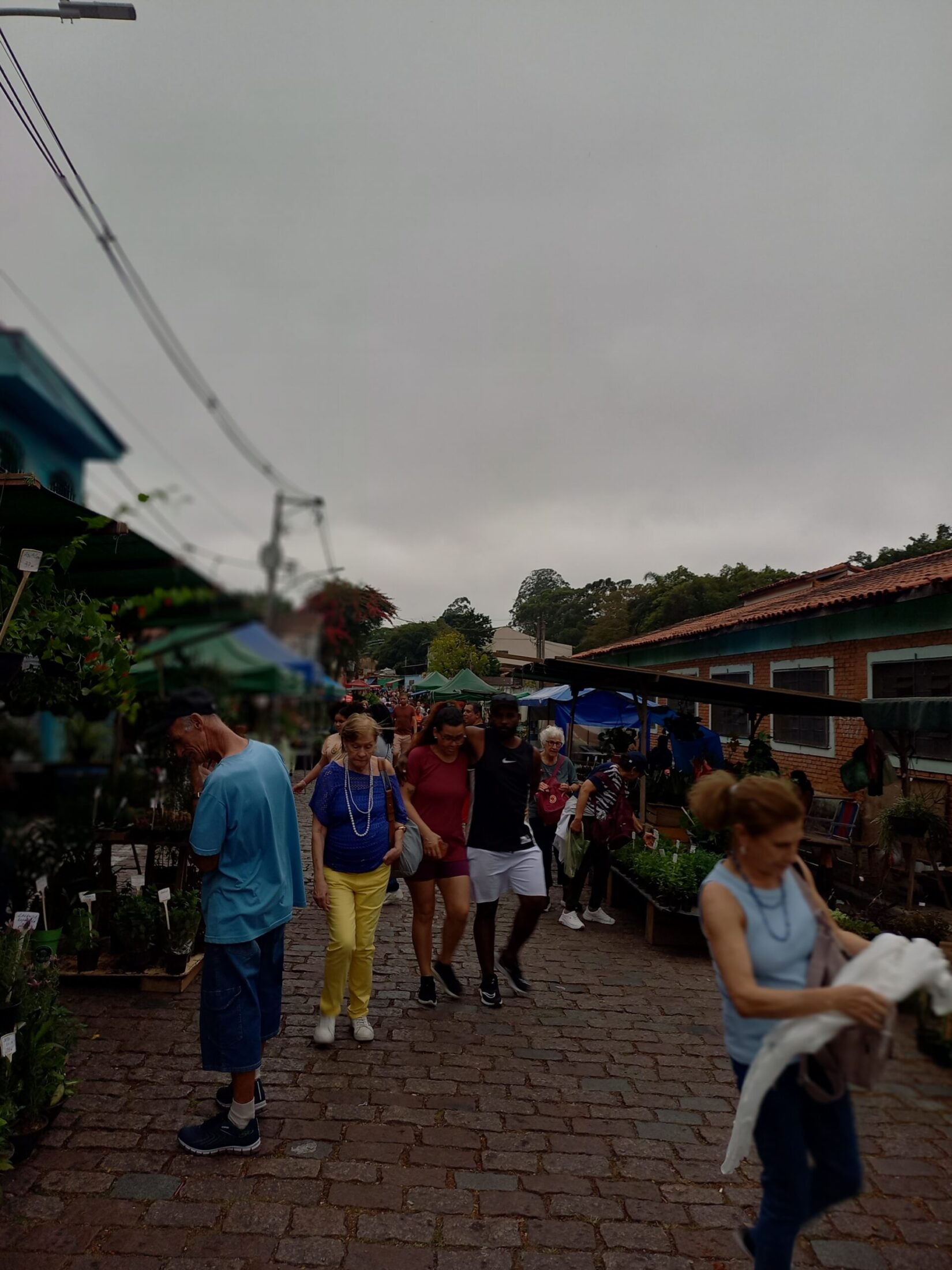 Rua do verde